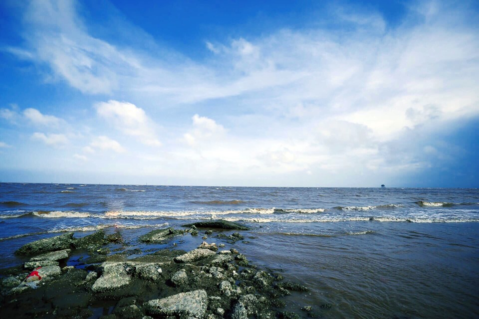 Bãi biển Ninh Bình